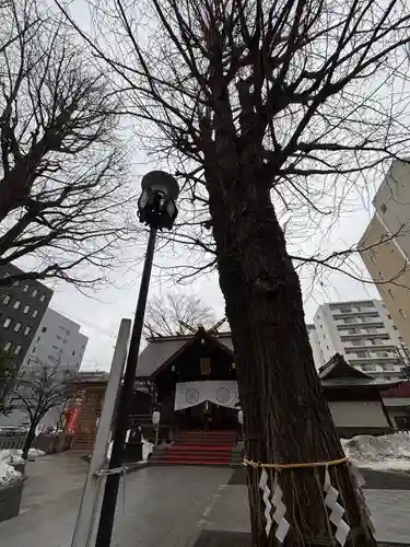北海道神宮頓宮の自然