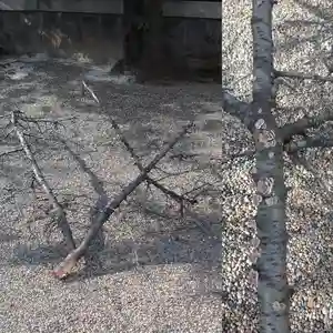 元郷氷川神社のその他建物(2020年07月08日(水) 17時06分26秒投稿)