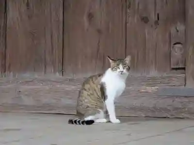 智恩寺(京都府)