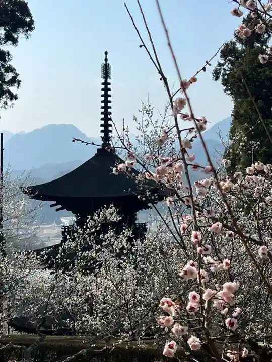 国宝 大法寺(長野県)