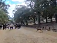 春日大社(奈良県)