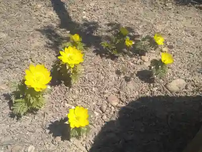 雨竜　専福寺(北海道)