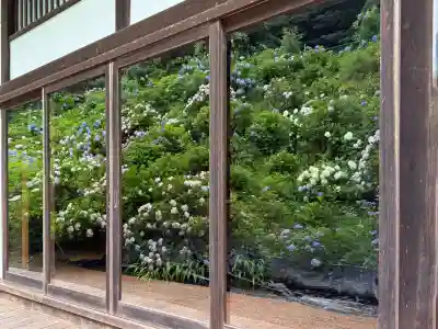 観音寺(京都府)