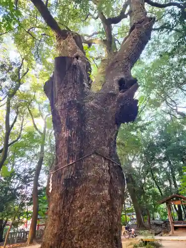 生田神社の自然