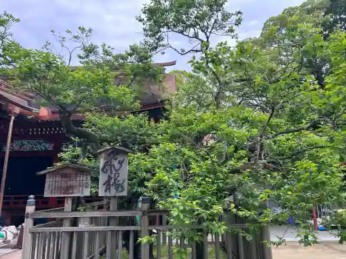 太宰府天満宮の{uncategorized: "未分類", other: "その他", undefined: "問題あり", building: "その他建物", grave: "お墓", sacred_gate: "鳥居", guardian: "狛犬", statue: "像", buddha: "仏像", history: "歴史", nature: "自然", garden: "庭園", animal: "動物", pagoda: "塔", temizu: "手水舎", mountain_gate: "山門・神門", sanctuary: "本殿・本堂", subordinate: "末社・摂社", art: "芸術", scenery: "景色", jizo: "地蔵", ema: "絵馬", goshuin: "御朱印", omikuji: "おみくじ", items: "授与品その他", amulet: "お守り", goshuincho: "御朱印帳", eats: "食事", festival: "お祭り", votive_dance: "神楽", shichigosan: "七五三参", wedding: "結婚式", experience: "体験その他", initially: "初詣", around: "周辺", anti_infection: "感染症対策"}