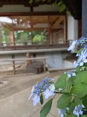 鳩森八幡神社(東京都)