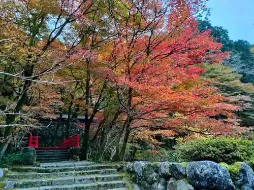 横蔵寺の建物その他