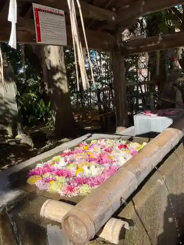 紅葉八幡宮(福岡県)