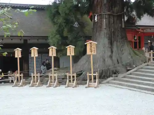 春日大社(奈良県)