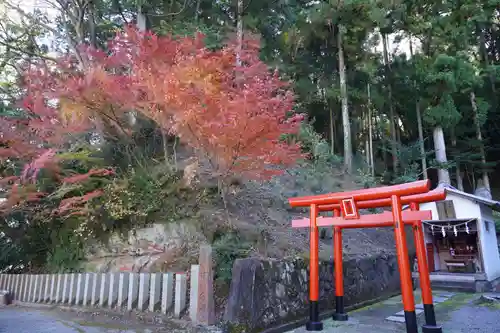 温泉神社〜いわき湯本温泉〜の鳥居