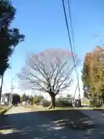 伏木香取神社(茨城県)