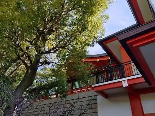 千葉神社(千葉県)