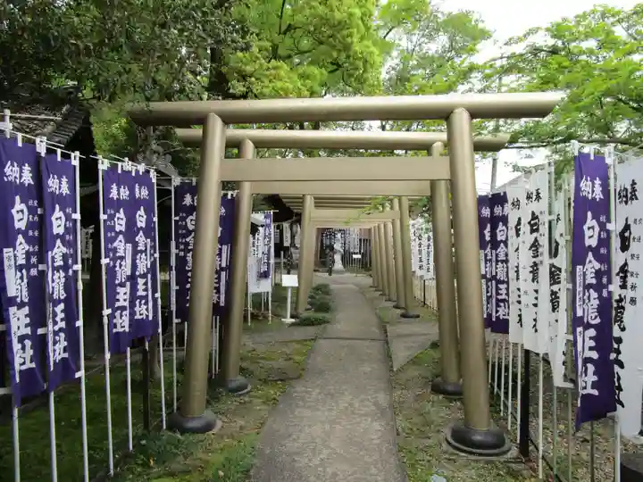白金龍王社(愛知県)
