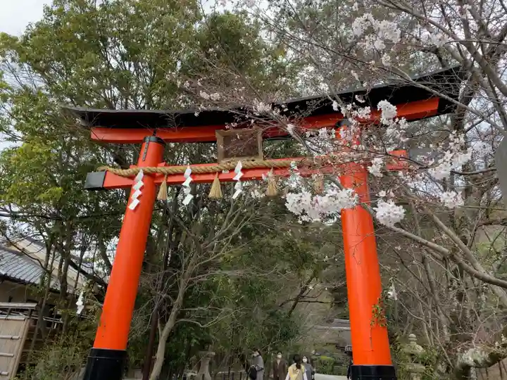 宇治上神社の鳥居