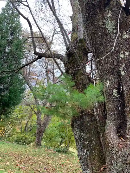 香取神社(福島県)