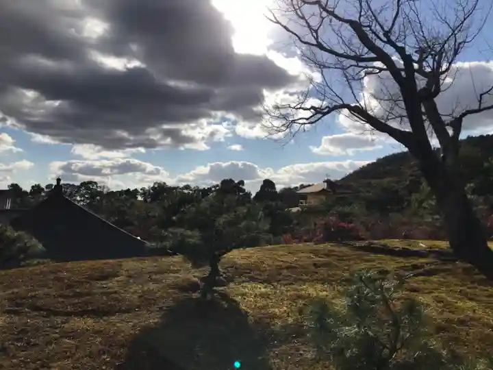 鹿苑寺(金閣寺)の周辺