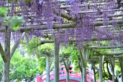 亀戸天神社(東京都)