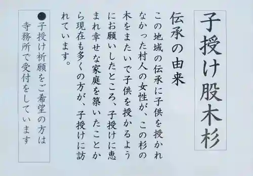 玉桂寺の{uncategorized: "未分類", other: "その他", undefined: "問題あり", building: "その他建物", grave: "お墓", sacred_gate: "鳥居", guardian: "狛犬", statue: "像", buddha: "仏像", history: "歴史", nature: "自然", garden: "庭園", animal: "動物", pagoda: "塔", temizu: "手水舎", mountain_gate: "山門・神門", sanctuary: "本殿・本堂", subordinate: "末社・摂社", art: "芸術", scenery: "景色", jizo: "地蔵", ema: "絵馬", goshuin: "御朱印", omikuji: "おみくじ", items: "授与品その他", amulet: "お守り", goshuincho: "御朱印帳", eats: "食事", festival: "お祭り", votive_dance: "神楽", shichigosan: "七五三参", wedding: "結婚式", experience: "体験その他", initially: "初詣", around: "周辺", anti_infection: "感染症対策"}