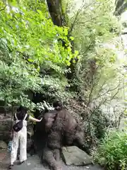 來宮神社の建物その他