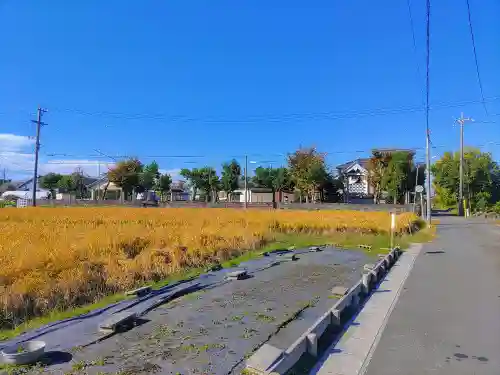 八幡社（稲島町）の自然