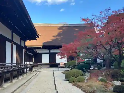 知恩院(京都府)