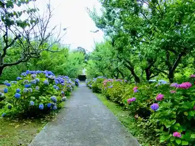 石堂寺のその他建物
