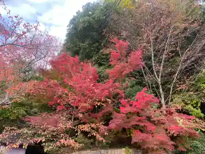 桂谷寺(兵庫県)