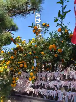 櫛田神社のおみくじ