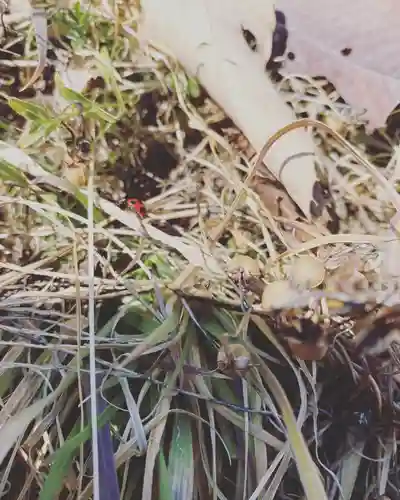 長光寺(長野県)