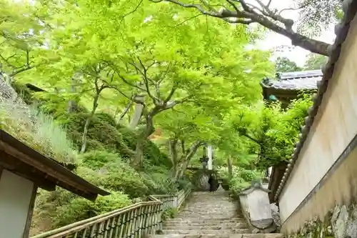 大興善寺の建物その他