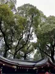 杭全神社(大阪府)