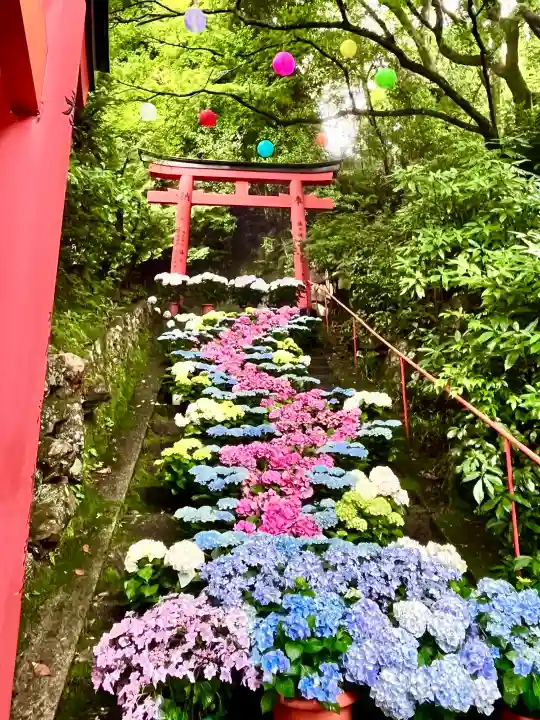 柳谷観音 楊谷寺(京都府)