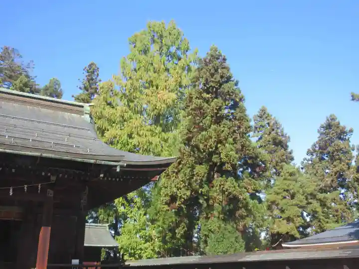 上杉神社(山形県)