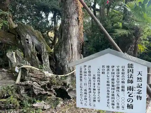 大山祇神社(愛媛県)