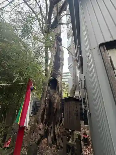 東神奈川熊野神社の{uncategorized: "未分類", other: "その他", undefined: "問題あり", building: "その他建物", grave: "お墓", sacred_gate: "鳥居", guardian: "狛犬", statue: "像", buddha: "仏像", history: "歴史", nature: "自然", garden: "庭園", animal: "動物", pagoda: "塔", temizu: "手水舎", mountain_gate: "山門・神門", sanctuary: "本殿・本堂", subordinate: "末社・摂社", art: "芸術", scenery: "景色", jizo: "地蔵", ema: "絵馬", goshuin: "御朱印", omikuji: "おみくじ", items: "授与品その他", amulet: "お守り", goshuincho: "御朱印帳", eats: "食事", festival: "お祭り", votive_dance: "神楽", shichigosan: "七五三参", wedding: "結婚式", experience: "体験その他", initially: "初詣", around: "周辺", anti_infection: "感染症対策"}