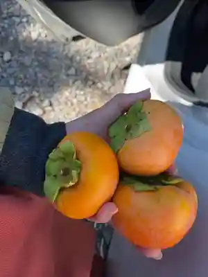 岩松院の授与品その他