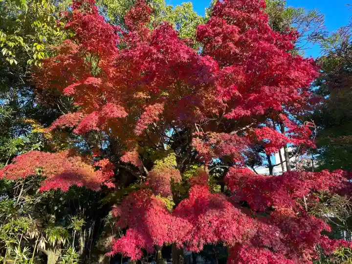 伊勢の国 四天王寺(三重県)