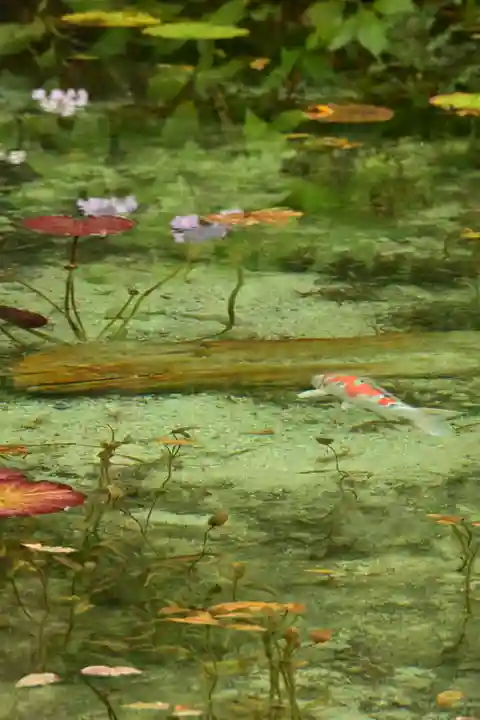 根道神社(岐阜県)