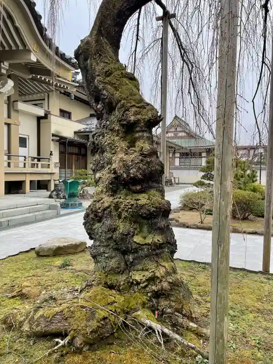 蓮香院(宮城県)