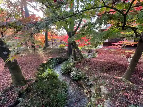 禅林寺（永観堂）(京都府)