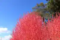 高司神社〜むすびの神の鎮まる社〜の周辺