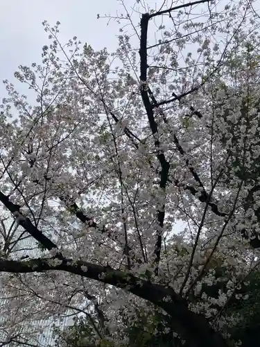 日枝神社の自然