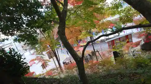 出雲大神宮の自然