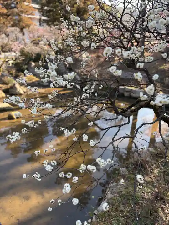 太宰府天満宮の{uncategorized: "未分類", other: "その他", undefined: "問題あり", building: "その他建物", grave: "お墓", sacred_gate: "鳥居", guardian: "狛犬", statue: "像", buddha: "仏像", history: "歴史", nature: "自然", garden: "庭園", animal: "動物", pagoda: "塔", temizu: "手水舎", mountain_gate: "山門・神門", sanctuary: "本殿・本堂", subordinate: "末社・摂社", art: "芸術", scenery: "景色", jizo: "地蔵", ema: "絵馬", goshuin: "御朱印", omikuji: "おみくじ", items: "授与品その他", amulet: "お守り", goshuincho: "御朱印帳", eats: "食事", festival: "お祭り", votive_dance: "神楽", shichigosan: "七五三参", wedding: "結婚式", experience: "体験その他", initially: "初詣", around: "周辺", anti_infection: "感染症対策"}