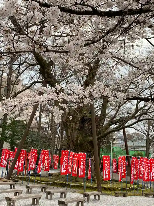 秩父今宮神社の自然