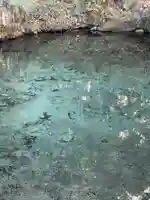 泉神社(茨城県)