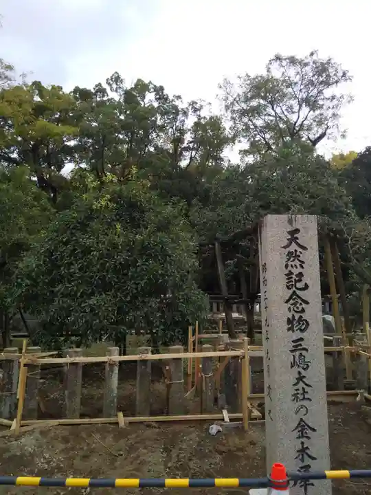 三嶋大社の自然