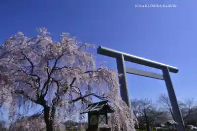 櫻木神社(千葉県)