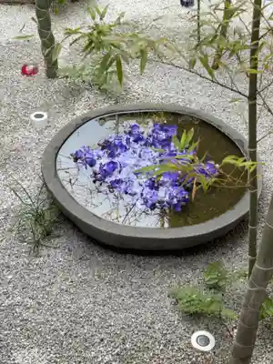 西来院(京都府)