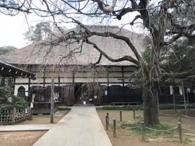 茂林寺の本殿・本堂